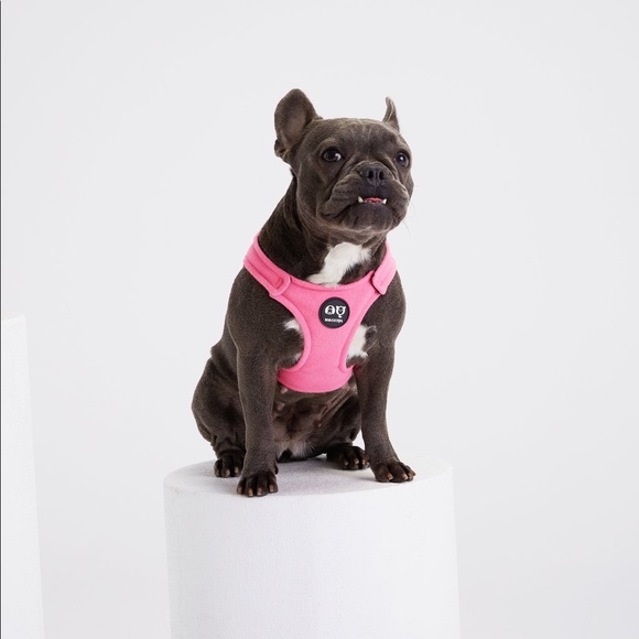 MOSHIQA Pink Padded Dog Cat Pet Harness Soft Buckle Checkers Frenchie Chihuahua - Picture 4 of 16